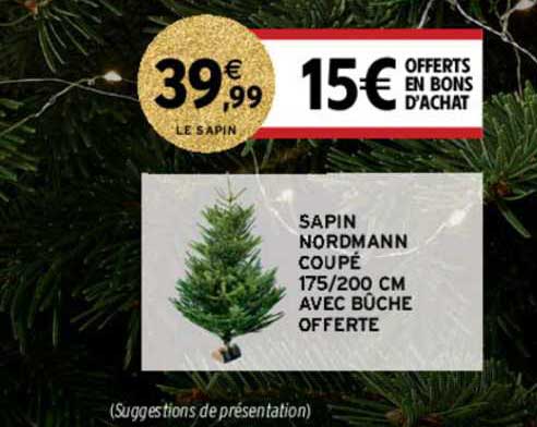 sapin nordmann cupé 175 200 cm avec bûche offerte