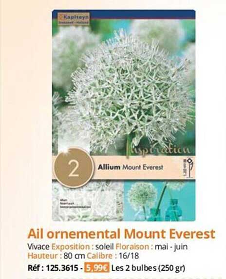 ail ornemental mount everest