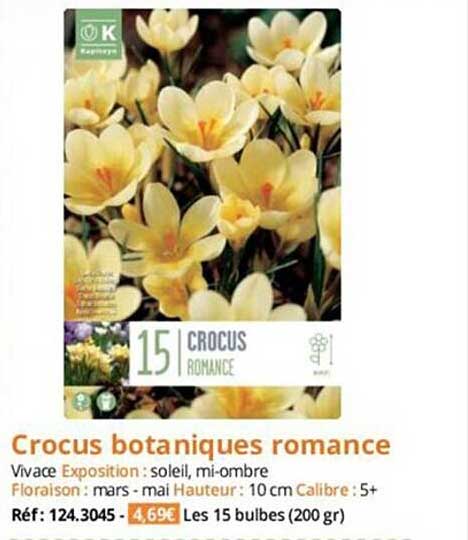 crocus botaniques romance