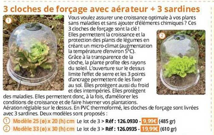 3 cloches de forçage avec aérateur + 3 sardines