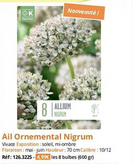 ail ornemental nigrum