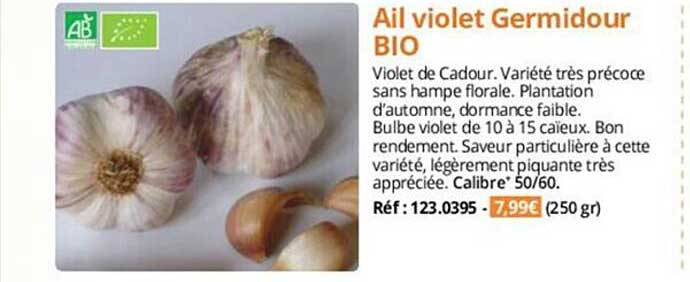 Ail Violet Germidour Bio