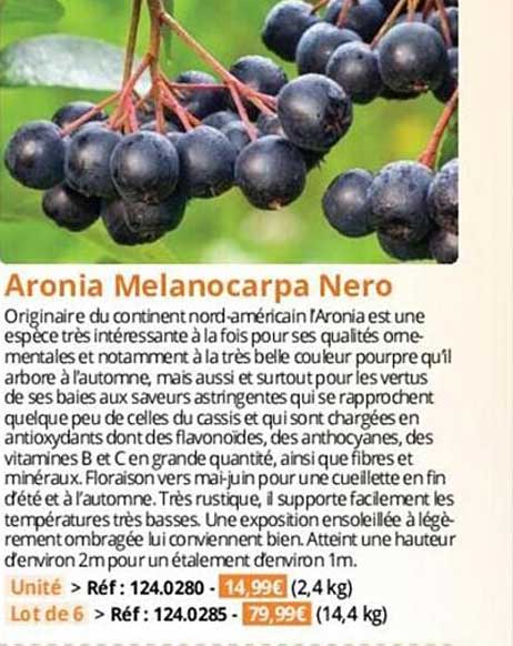 aronia melancarpa nero
