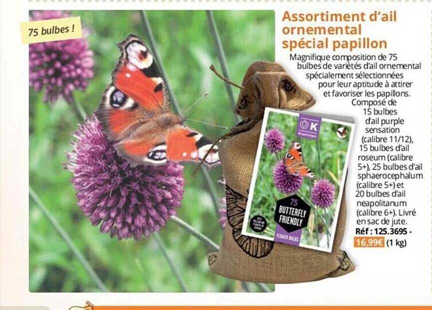 assortiment d'ail ornemental spécial papillon