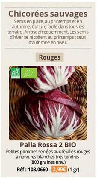 chicorées sauvages palla rossa 2 bio