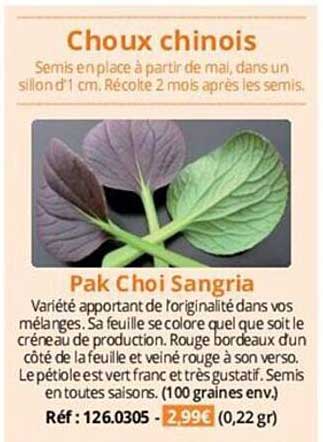 choux chinois pak choi sangria