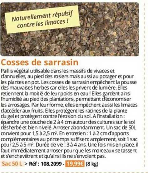 cosses de sarrasin