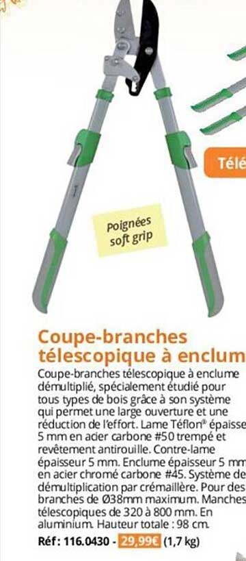 coupe-branches télescopique à enclum