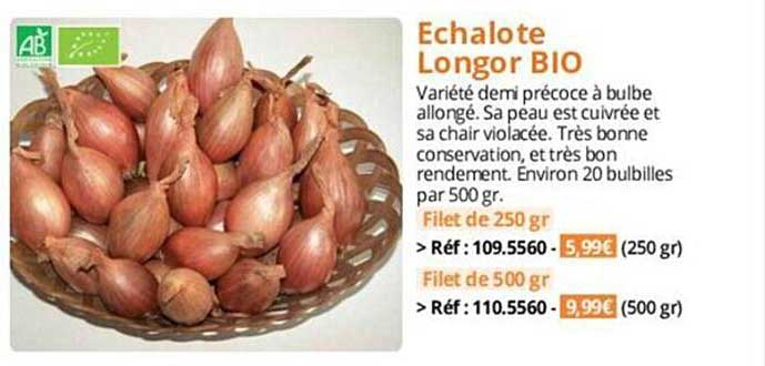 échalote longor bio