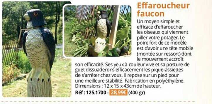 effaroucheur faucon