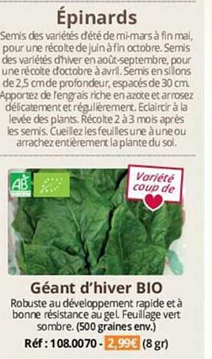 épinards géant d'hiver bio