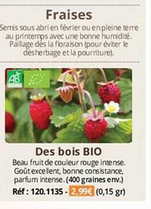 Fraises Des Bois Bio