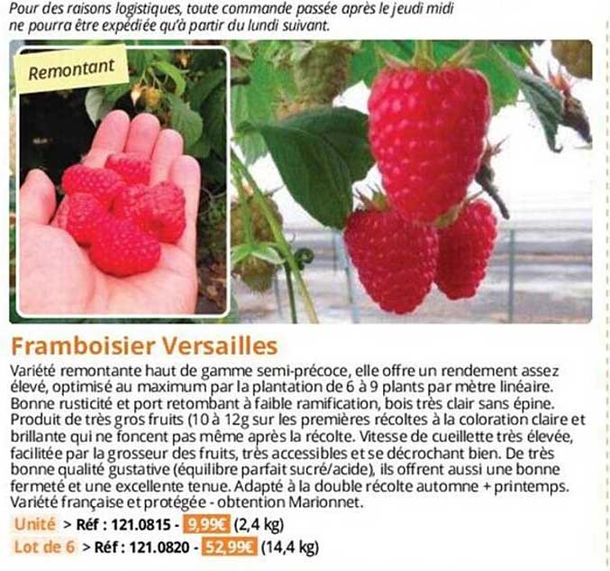 framboisier versailles