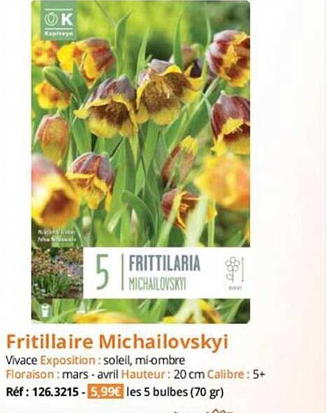 fritillaire michailovskyi