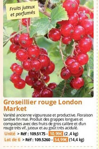 groseillier rouge london market