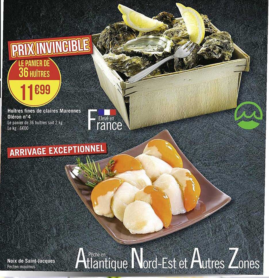 huîtres fines de claires marennes oléron n°4