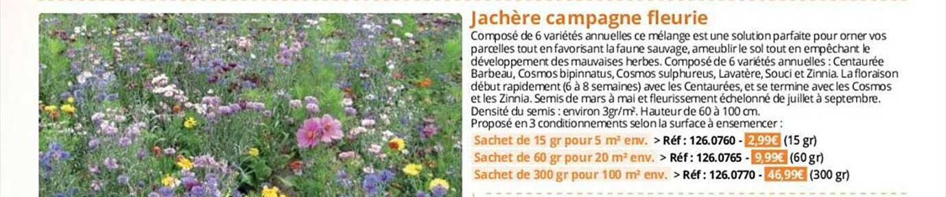 Jachère Campagne Fleurie