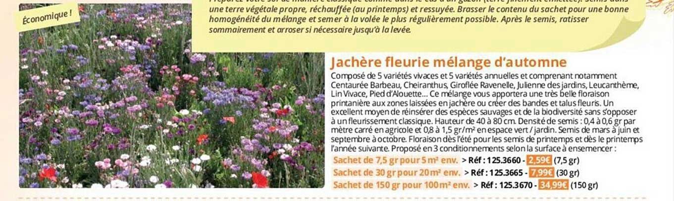 jachère fleurie mélange d'automne