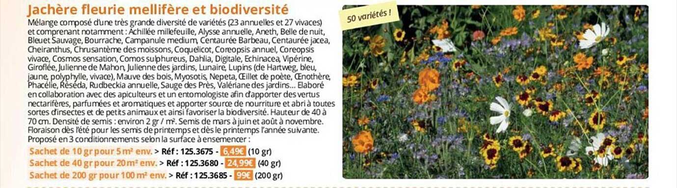 jachère fleurie mellifère et biodiversité