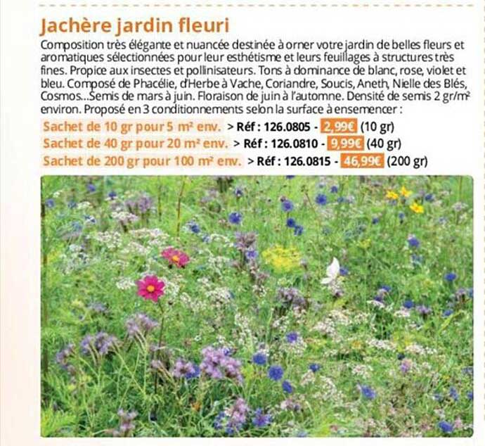 jachère jardin fleuri