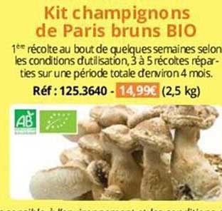 kit champignons de paris bruns bio