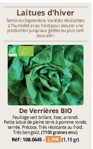 laitues d'hiver de verrières bio
