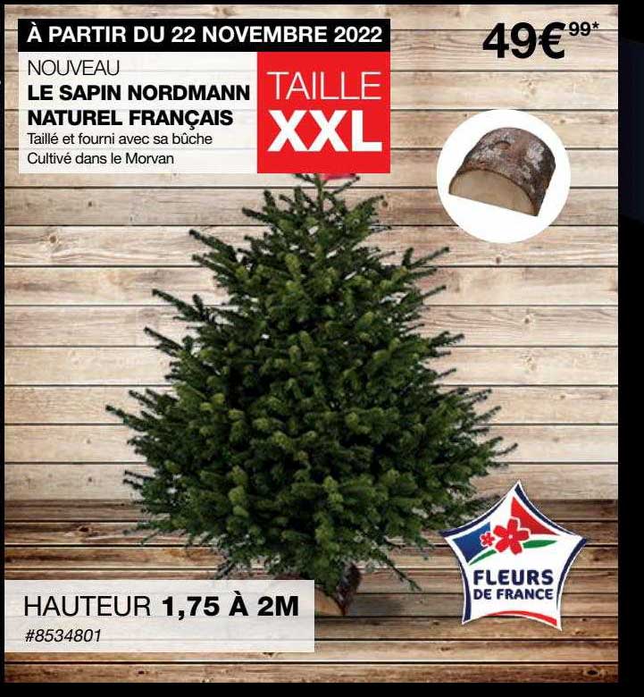le sapin nordmann naturel français