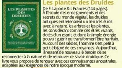 les plantes des druides