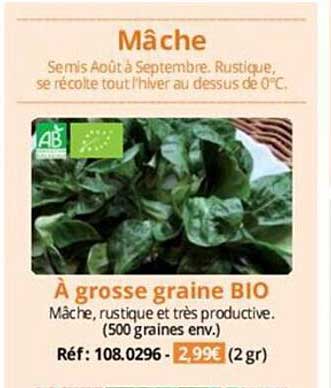 mâche à grosse graine bio