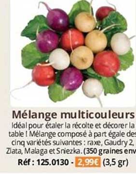 mélange multicouleurs