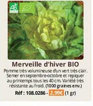 merveille d'hiver bio