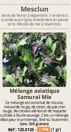 mesclun mélange asiatique samuraï mix