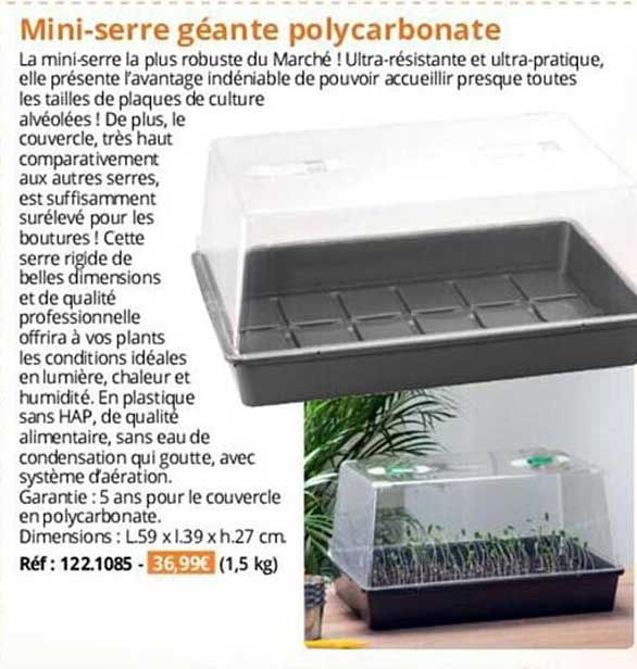 mini-serre géante polycarbonate