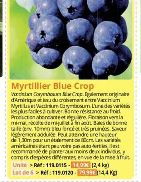 myrtillier blue crop