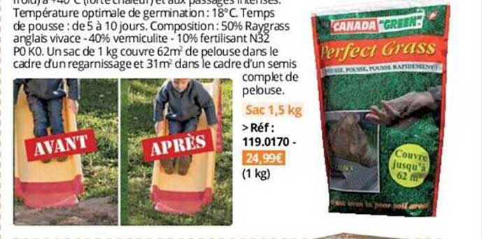 perfect grass canada green