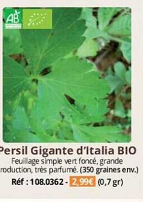 persil gigante d'italia bio
