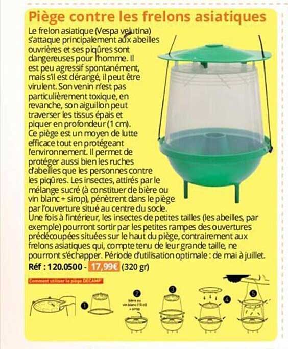 piège contre les frelons asiatiques