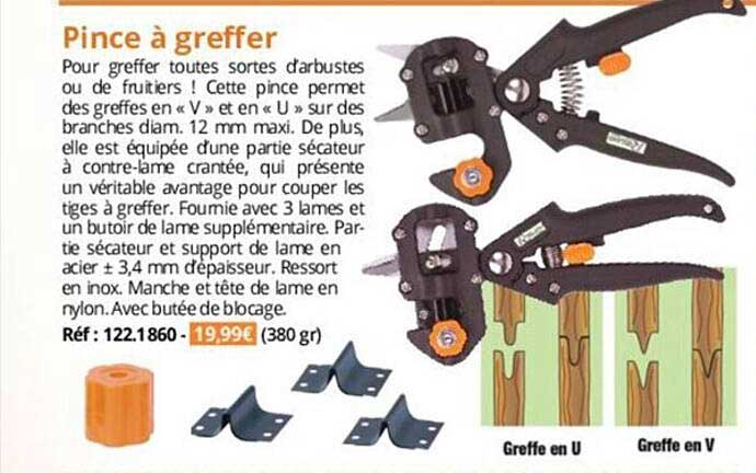 pince à greffer