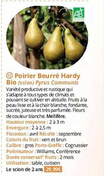 poirier beurré hardy bio