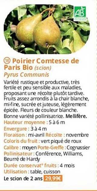 poirier comtesse de paris bio
