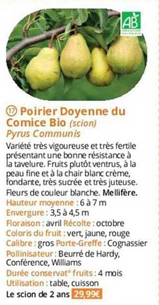 poirier doyenne du comice bio