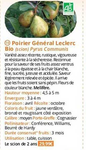 poirier général leclerc bio