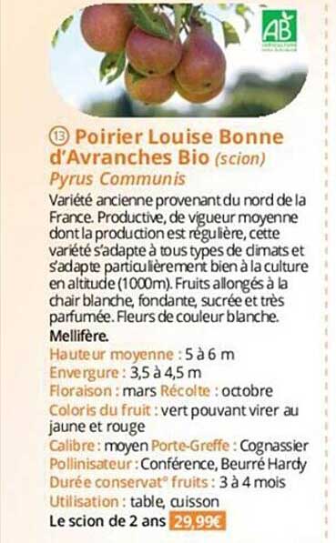 poirier louise bonne d'avranches bio