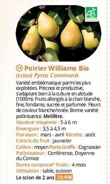 poirier williams bio