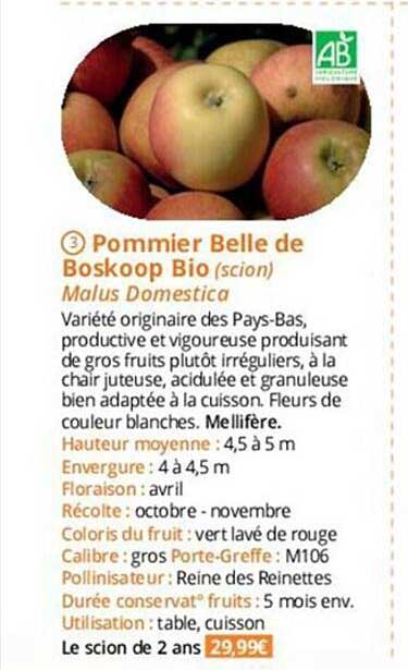 pommier belle de boskoop bio