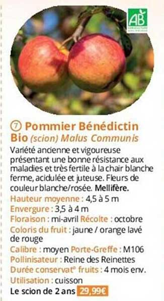 pommier bénédictin bio