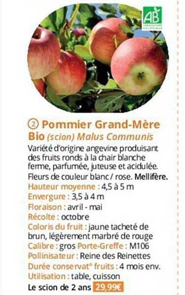 pommier grand-mère bio