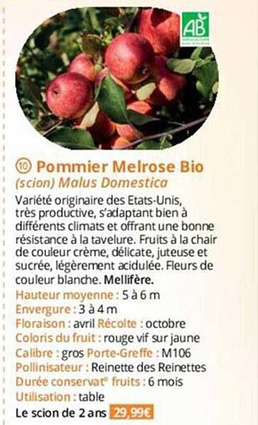 pommier melrose bio
