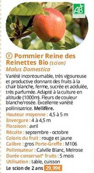 pommier reine des reinettes bio