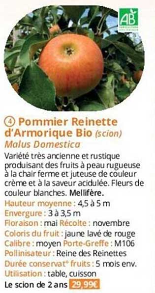 pommier reinette d'Armorique bio